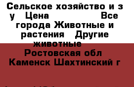 Сельское хозяйство и з/у › Цена ­ 2 500 000 - Все города Животные и растения » Другие животные   . Ростовская обл.,Каменск-Шахтинский г.